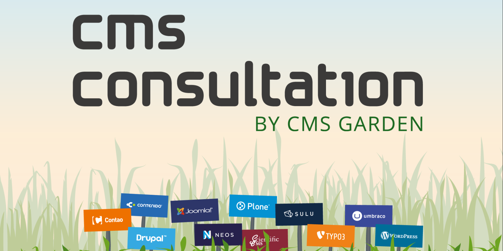 CMS consultation by CMS Garden, background illustration: CMS logos on signposts in a meadow in front a sunrise-colored sky