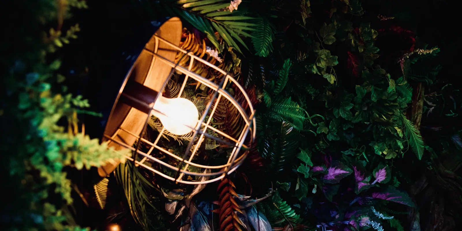 Lamp with caged light bulb dimly lighting colorful jungle plants