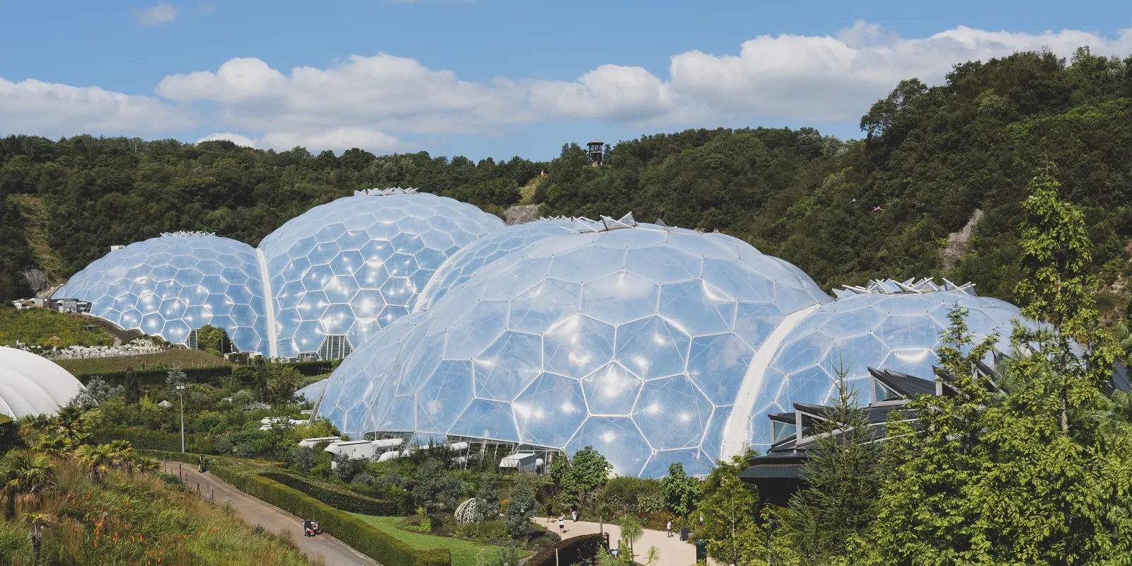 Verbundene Gewächshaus-Kuppeln aus Plastik in einer grünen Landschaft unter blauem Himmel