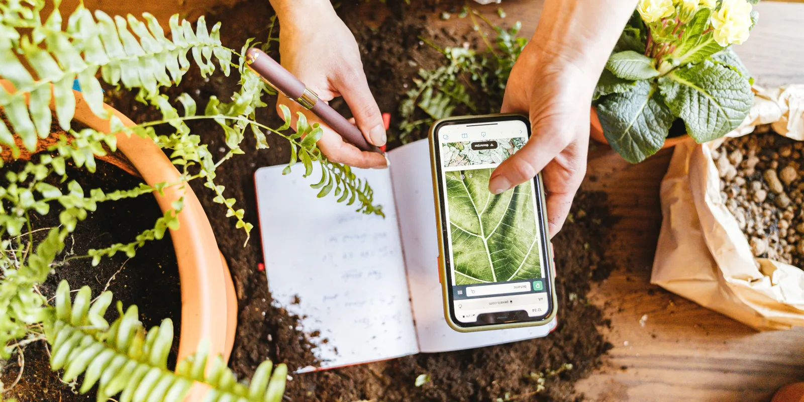 Hands holding a smartphone and a book over a table top with plants and earth