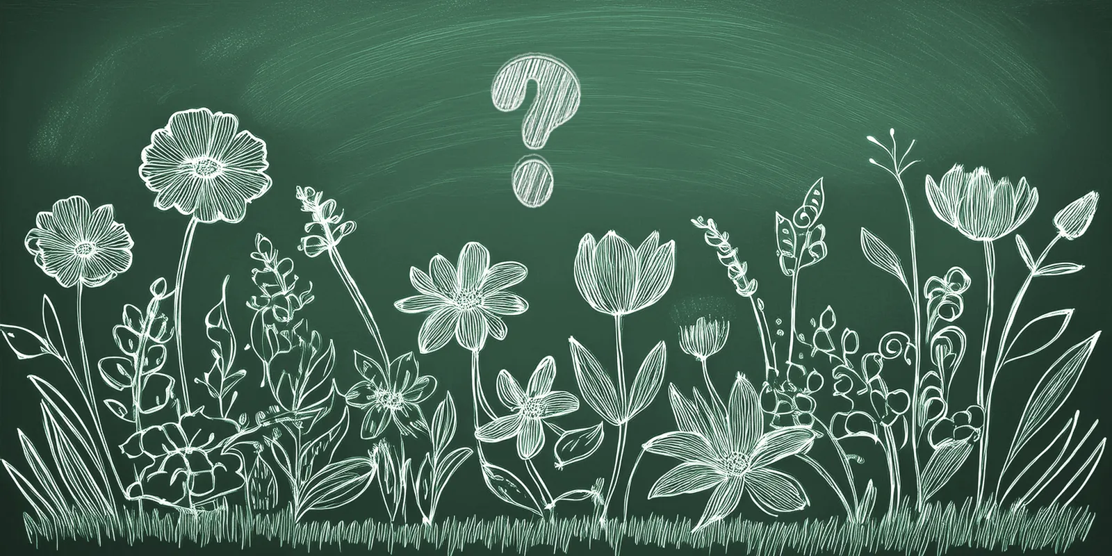 Multiple flowers on a chalkboard