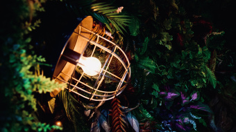 Glühbirne-im-Käfig-Lampe beleuchtet schwach bunte Dschungelpflanzen