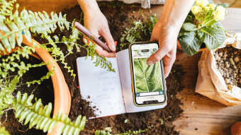 Hände halten ein Smartphone und ein Notizbuch über einem Tisch mit Pflanzen und Erde