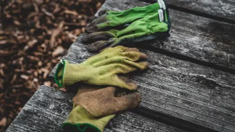 Vier schmutzige Arbeitshandschuhe auf einem wettergegerbten Holztisch