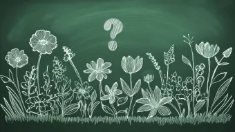 Multiple flowers on a chalkboard